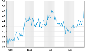 Chart Birkenstock Holding PLC - 1 Jahr